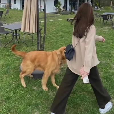 请以无名呼唤我
